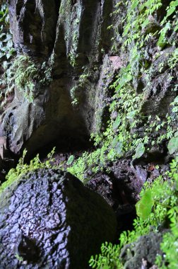 Bau, Sarawak, Borneo, Malezya Peri Mağarası ve Rüzgar Mağarası