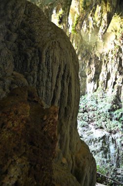 Bau, Sarawak, Borneo, Malezya Peri Mağarası ve Rüzgar Mağarası