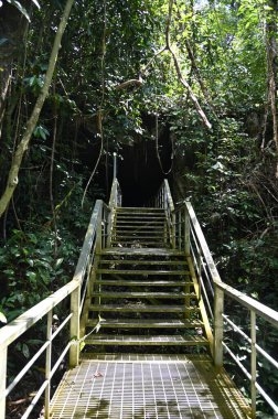 Bau, Sarawak, Borneo, Malezya Peri Mağarası ve Rüzgar Mağarası