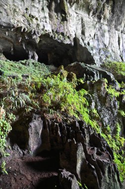 Bau, Sarawak, Borneo, Malezya Peri Mağarası ve Rüzgar Mağarası