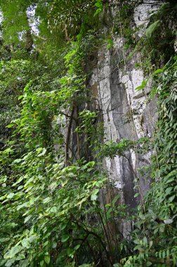 Bau, Sarawak, Borneo, Malezya Peri Mağarası ve Rüzgar Mağarası