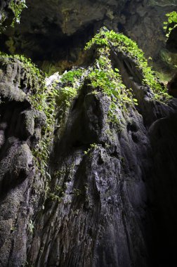 Bau, Sarawak, Borneo, Malezya Peri Mağarası ve Rüzgar Mağarası