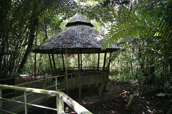 stock image The Fairy Cave and Wind Cave of Bau, Sarawak, Borneo, Malaysia