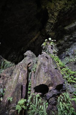Bau, Sarawak, Borneo, Malezya Peri Mağarası ve Rüzgar Mağarası