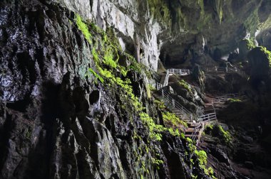 Bau, Sarawak, Borneo, Malezya Peri Mağarası ve Rüzgar Mağarası