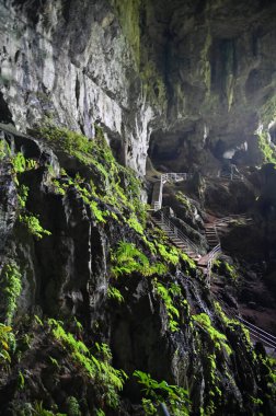 Bau, Sarawak, Borneo, Malezya Peri Mağarası ve Rüzgar Mağarası