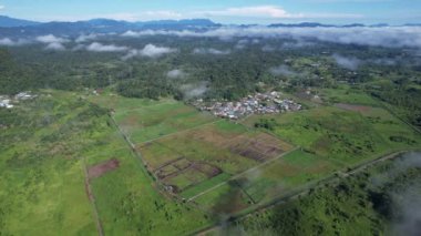 Borneo Sarawak 'taki Skuduk Paddy Sahası' nın Hava Görüntüsü