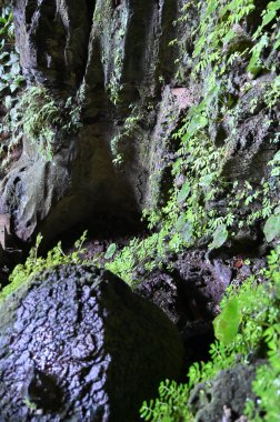 Bau, Sarawak, Borneo, Malezya Peri Mağarası ve Rüzgar Mağarası