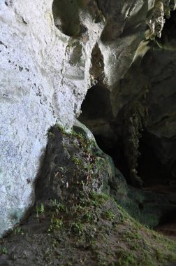 Bau, Sarawak, Borneo, Malezya Peri Mağarası ve Rüzgar Mağarası