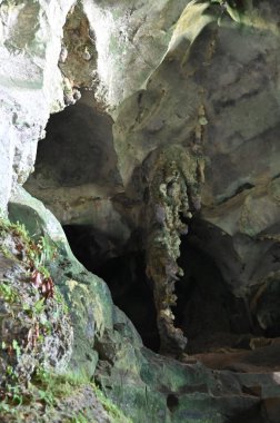 Bau, Sarawak, Borneo, Malezya Peri Mağarası ve Rüzgar Mağarası