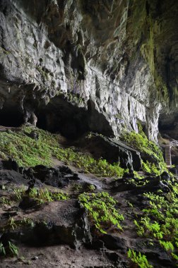 Bau, Sarawak, Borneo, Malezya Peri Mağarası ve Rüzgar Mağarası