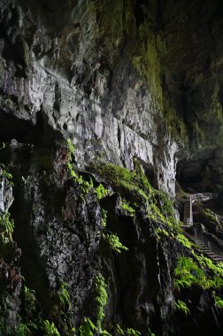 Bau, Sarawak, Borneo, Malezya Peri Mağarası ve Rüzgar Mağarası