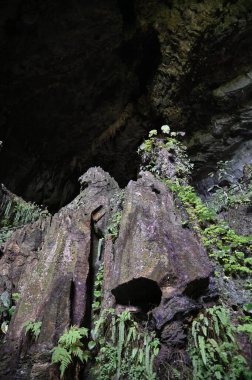 Bau, Sarawak, Borneo, Malezya Peri Mağarası ve Rüzgar Mağarası