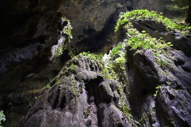 Bau, Sarawak, Borneo, Malezya Peri Mağarası ve Rüzgar Mağarası