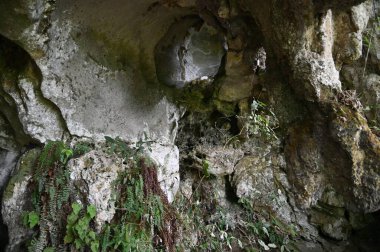 Bau, Sarawak, Borneo, Malezya Peri Mağarası ve Rüzgar Mağarası