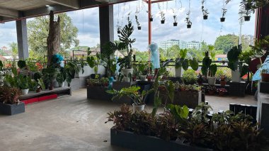 Kuching, Malezya - 13 Temmuz 2024: Yerel Piyasa Sahneleri