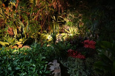 Kuching, Malezya - 3 Ağustos 2024: Yemek Festivali Sokak Fuarı