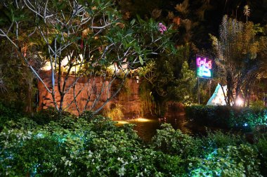 Kuching, Malezya - 3 Ağustos 2024: Yemek Festivali Sokak Fuarı