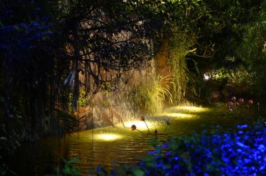 Kuching, Malezya - 3 Ağustos 2024: Yemek Festivali Sokak Fuarı