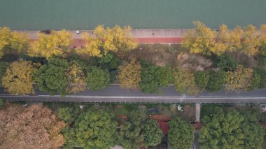 Changsha, Çin - 27 Aralık 2024: Turuncu Ada