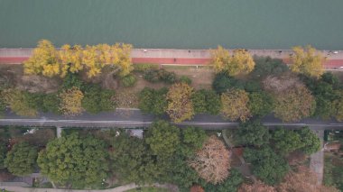 Changsha, Çin - 27 Aralık 2024: Turuncu Ada