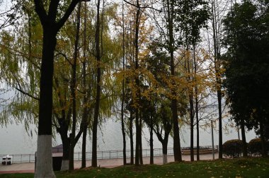 Changsha, Çin - 27 Aralık 2024: Turuncu Ada