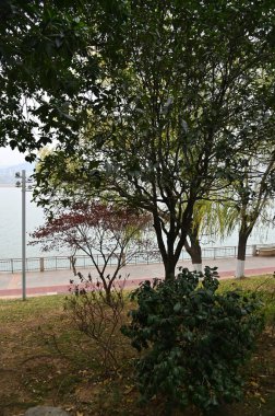 Changsha, Çin - 27 Aralık 2024: Turuncu Ada