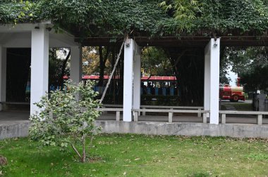 Changsha, Çin - 27 Aralık 2024: Turuncu Ada