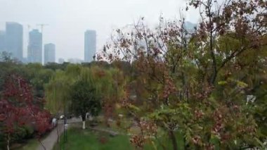 Changsha, Çin - 27 Aralık 2024: Başkan Maos Heykeli Turuncu Ada 'da Havadan Bakış