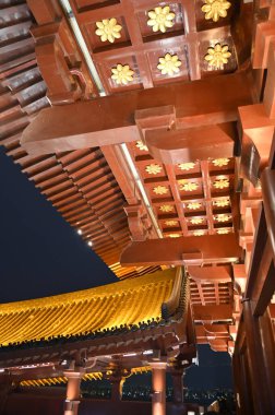 Changsha, Çin - 26 Aralık 2024: Du Fu Nehri Pavyonu