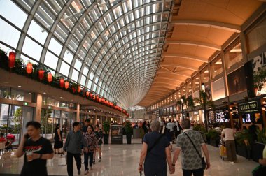 Marina Körfezi, Singapur - 31 Ocak 2025 Koyun yanındaki Bahçelerde Çiçek Fantezisi