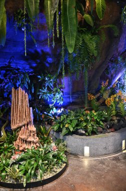 Marina Körfezi, Singapur - 31 Ocak 2025 Koyun yanındaki Bahçelerde Çiçek Fantezisi