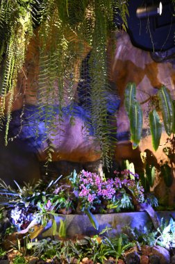 Marina Körfezi, Singapur - 31 Ocak 2025 Koyun yanındaki Bahçelerde Çiçek Fantezisi