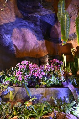 Marina Körfezi, Singapur - 31 Ocak 2025 Koyun yanındaki Bahçelerde Çiçek Fantezisi