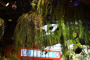 Marina Körfezi, Singapur - 31 Ocak 2025 Koyun yanındaki Bahçelerde Çiçek Fantezisi