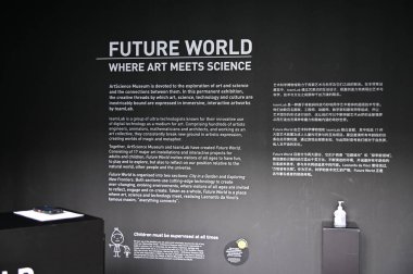 Singapur Şehri, Singapur - 1 Şubat 2025: Orchard, Bugis, Marina Körfezi ve Çin Mahallesi Alışveriş Bölgeleri