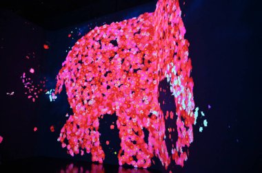 Singapur Şehri, Singapur - 1 Şubat 2025: Orchard, Bugis, Marina Körfezi ve Çin Mahallesi Alışveriş Bölgeleri