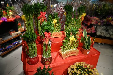 Singapur Şehri, Singapur - 1 Şubat 2025: Orchard, Bugis, Marina Körfezi ve Çin Mahallesi Alışveriş Bölgeleri