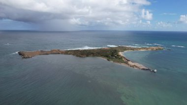 Penguen Adası, Avustralya 31 Mayıs 2025: Penguen Adası ve Rockingham, Perth Shoalwater