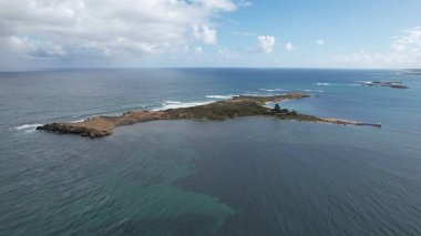 Penguen Adası, Avustralya 31 Mayıs 2025: Penguen Adası ve Rockingham, Perth Shoalwater