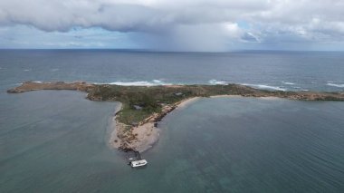 Penguen Adası, Avustralya 31 Mayıs 2025: Penguen Adası ve Rockingham, Perth Shoalwater