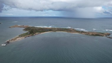 Penguen Adası, Avustralya 31 Mayıs 2025: Penguen Adası ve Rockingham, Perth Shoalwater