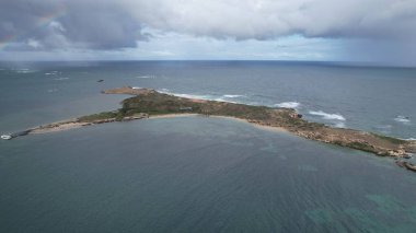 Penguen Adası, Avustralya 31 Mayıs 2025: Penguen Adası ve Rockingham, Perth Shoalwater