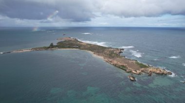 Penguen Adası, Avustralya 31 Mayıs 2025: Penguen Adası ve Rockingham, Perth Shoalwater