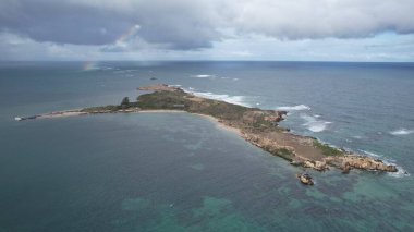 Penguen Adası, Avustralya 31 Mayıs 2025: Penguen Adası ve Rockingham, Perth Shoalwater