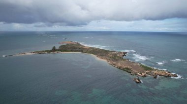 Penguen Adası, Avustralya 31 Mayıs 2025: Penguen Adası ve Rockingham, Perth Shoalwater