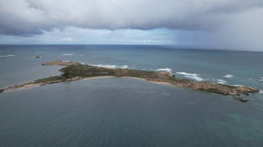 Penguen Adası, Avustralya 31 Mayıs 2025: Penguen Adası ve Rockingham, Perth Shoalwater