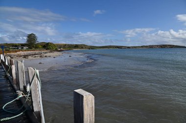 Penguen Adası, Avustralya 31 Mayıs 2025: Penguen Adası ve Rockingham, Perth Shoalwater