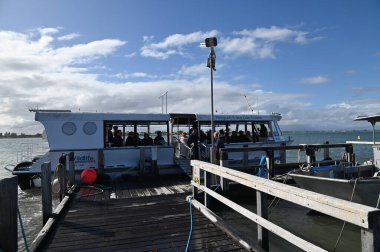 Penguen Adası, Avustralya 31 Mayıs 2025: Penguen Adası ve Rockingham, Perth Shoalwater