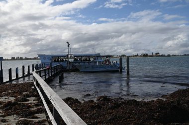 Penguen Adası, Avustralya 31 Mayıs 2025: Penguen Adası ve Rockingham, Perth Shoalwater